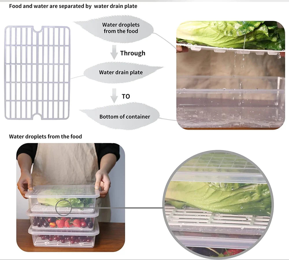 Plastic Square Fridge Fruits Container Pack Of (2,43,4,6)