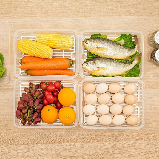 Plastic Square Fridge Fruits Container Pack Of (2,43,4,6)